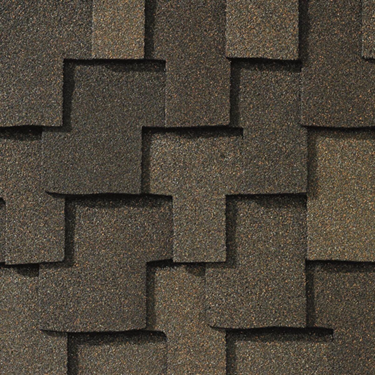 Branching Out Construction Images