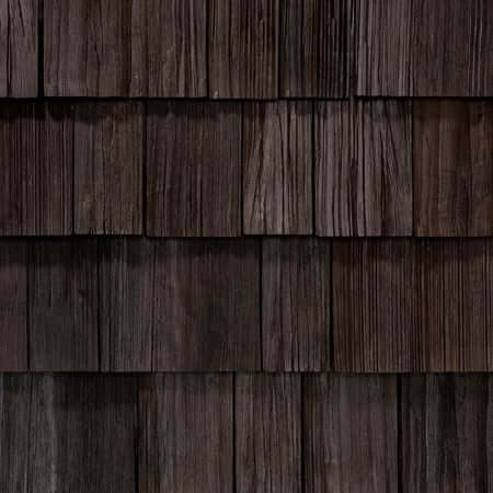 Branching Out Construction Images