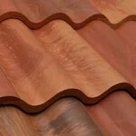 Branching Out Construction Images