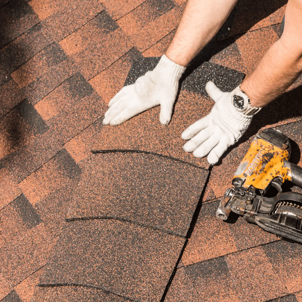 Branching Out Construction Images
