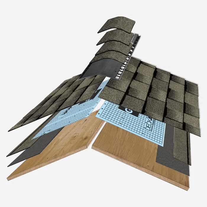 Branching Out Construction Images