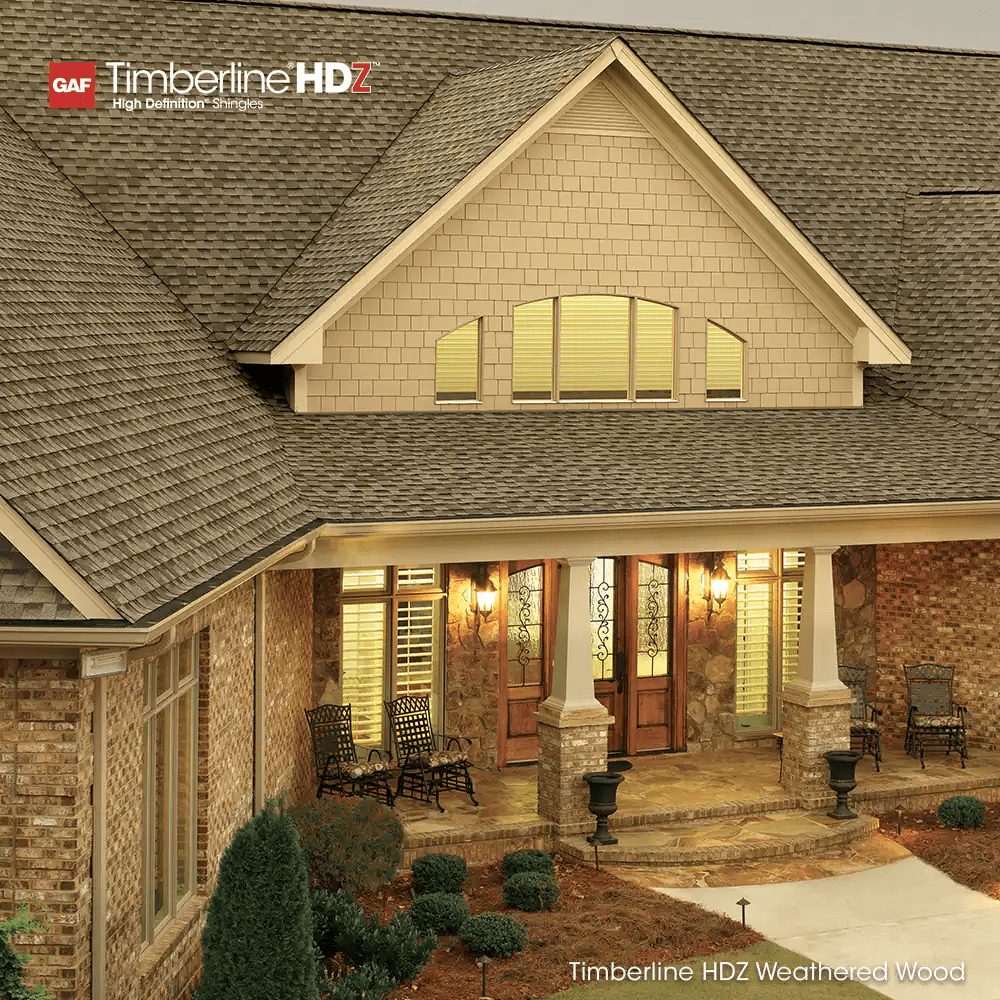 Branching Out Construction Images