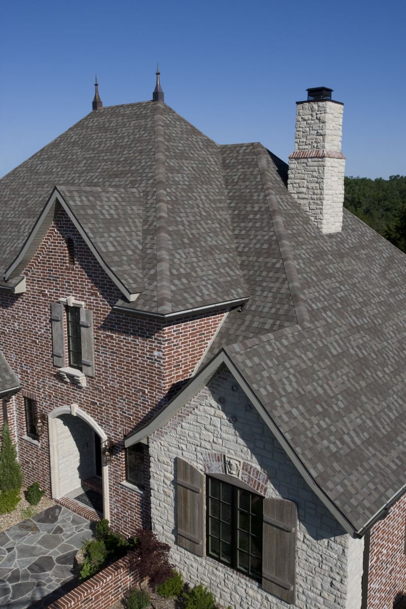 Branching Out Construction Images